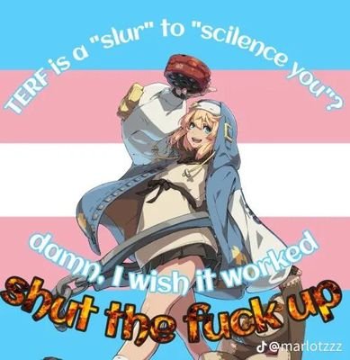 trnsphbicprns's profile picture. Transphobes saying stupid things and using the pronouns they hate so much 
Ran by one person atm, DM submissions!