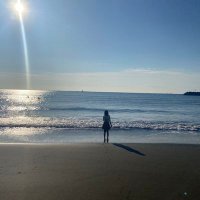 𝕄𝕒𝕟𝕒。☀️札幌円💬🌳 (@mana_neru_mon) 's Twitter Profile Photo
