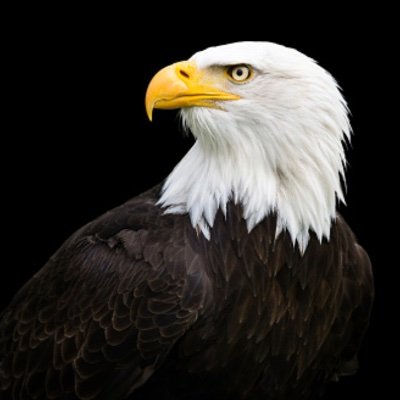 #Independent #USA #Truth #TheConstitution
Here for the news. Call it like I see it.