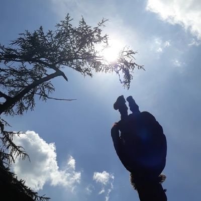 insanity_whore's profile picture. dumb silly trans girl doin parkour

|  She/Her 
| IG: @professional_flumper