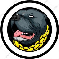 🔸Mr 𝕏 (@mrx_crypto) 's Twitter Profile
