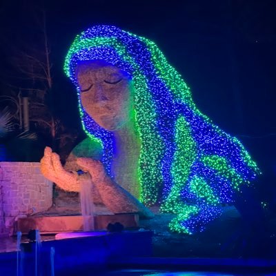 Andrea14533496's profile picture. Looking at everything going on...