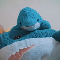 半月藍@Brute Blue (@bruteblue099) 's Twitter Profile Photo 半月藍@Brute Blue (@bruteblue099) 's Twitter Profile Photo