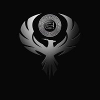 Raid Forever π΄ββ οΈ (@raidertoken) 's Twitter Profile