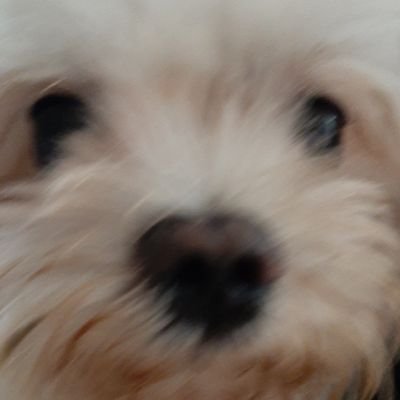 아웅さんのプロフィール画像