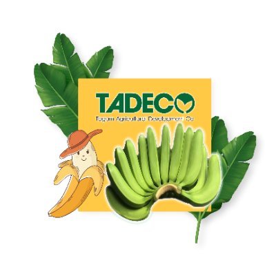 We are TADECO. We live, work and play. 
TADECO is home... OUR HOME!