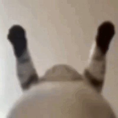 17• Content Creator / Fortnite grinder