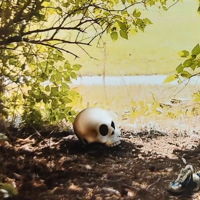 BlazingGlory4's profile picture. I'm just here~She/her~I don't post much because of anxiety~22