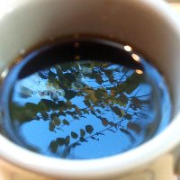 Decafe☕️ (@i5f0rldzeps) 's Twitter Profile Photo Decafe☕️ (@i5f0rldzeps) 's Twitter Profile Photo