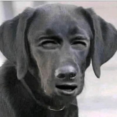 ErickIs1CoolKid's profile picture. i like memes. simple as that