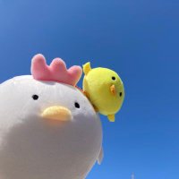 ふとっちょなかま🐔🐤🐷🐼🐸🐨🐻‍🐱 (@futoccho_nakama) 's Twitter Profile Photo