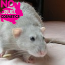 scramble_cam's profile picture. 