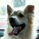 Thomas Marien - @twodoyle - Twitter