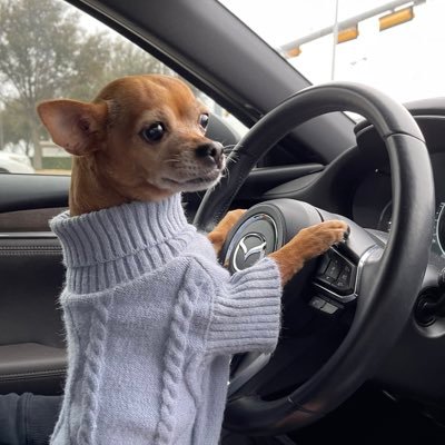 Pronounces name sO-nEEy | 98’ 4Runner | 19’ Mazda6 | 23’ Suzuki GSX-S750