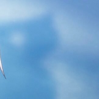 GazouasariA's profile picture. 無言フォロー失礼します。言いたい事言いがちです気に触ったらすいません