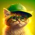 ChilangoChoco (@chilangochoco) Twitter profile photo ChilangoChoco (@chilangochoco) Twitter profile photo
