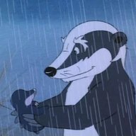 badger (@0xbadgers) 's Twitter Profile