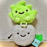 チョコみん (@choco_mint_dice) 's Twitter Profile
