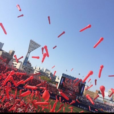 関東在住のカープファン❤️ プロ野球ファン（他チームもok）とお友達になりたいです。⚾️2023年現地6勝8敗😱（1中止） 2024年現地1勝4敗