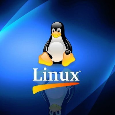 mister_ch_kamel's profile picture. 