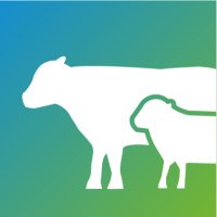 AHDB Beef & Lamb(@AHDB_BeefLamb) 's Twitter Profile Photo