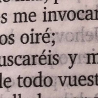 …Considerad los lirios del campo, cómo crecen: no trabajan ni hilan; 29 pero os digo, que ni aun Salomón con toda su gloria se vistió así como uno de ellos.