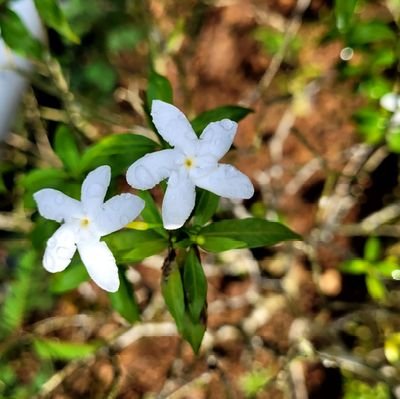 gajam11111111's profile picture. proud indian🇮🇳

എന്ത് പറയാനാണ്.
കളറാണ്
പൊളിയാണ്
സുപ്പറാണ്
ഇത്‌ വായിക്കുന്ന നിങ്ങൾ 🥰