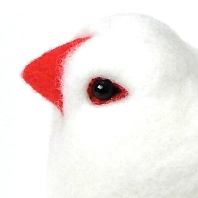 nachi @ 鳥とか鳥とか鳥さんのプロフィール画像
