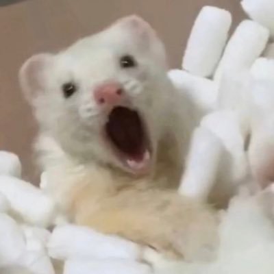 pamperjyh's profile picture. 🌈le 0.5 男的不要关注我  @Jmcjsedani