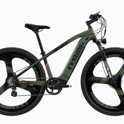 Diverse eBikes and many options available.#ebikes #electricfatbike #mountainbike #cargoebike Ship from Us and European 3-6 days free delivery!