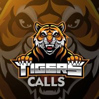 TIGERS CALLS(@tigers_calls) 's Twitter Profile Photo