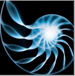 YantaiJT's profile picture. 