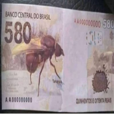 Srcalopas's profile picture. Todo dia um 6x1