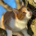 Maja (@maja961573442) Twitter profile photo Maja (@maja961573442) Twitter profile photo