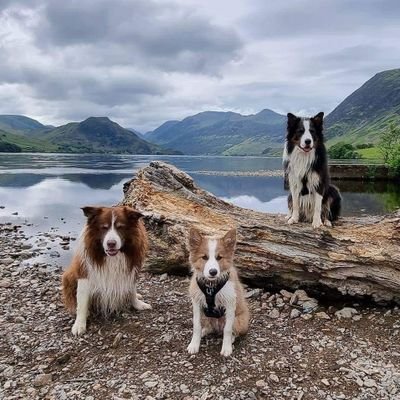 Mountain hiker and climber,  lover of wildlife and dogs,  hate the far right lying media and the corrupt tory government. South Yorkshire.