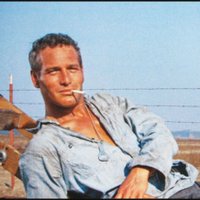 🇺🇲Cool Hand Luke🇺🇲(@coolhand_1971) 's Twitter Profile Photo