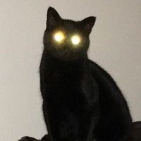 산오 (@choi_kkk3) 's Twitter Profile Photo