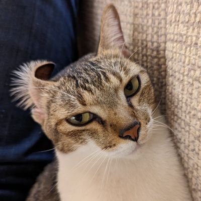 mosakaman's profile picture. foosball. football. cinema. mountains