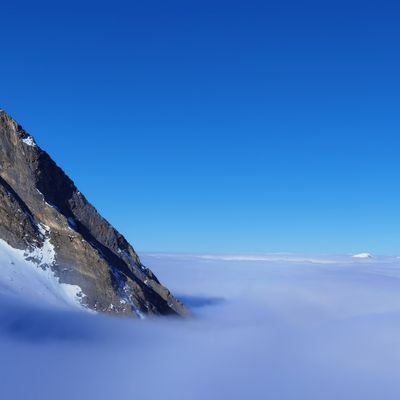 roubvince's profile picture. 