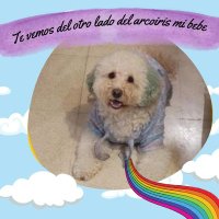 Gaby Jo Al (@gab_ryujoal) 's Twitter Profile