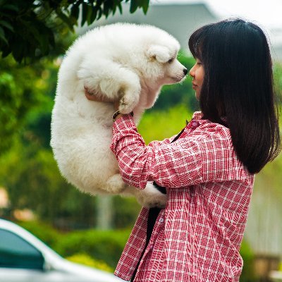 0xgutiantian's profile picture. 