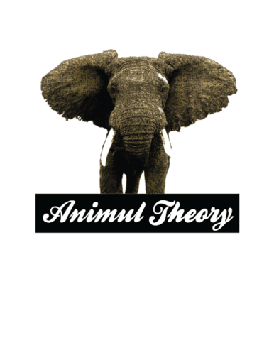 One Of NYC's Hottest Up and Coming Clothing Brands.