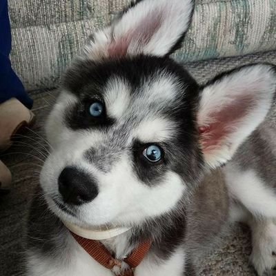 FrediAndradepa1's profile picture. 
