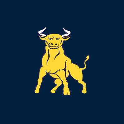 Golden Bulls