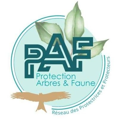 PAF🍃Réseau de #Protectrices et #Protecteurs🌳Arbres et🕊Faune. Association de protection de l'#environnement par l'entraide et l'initiative.
⤵️Nous rejoindre⤵️