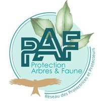 Protection Arbres et Faune - PAF(@ProtectionArbre) 's Twitter Profile Photo