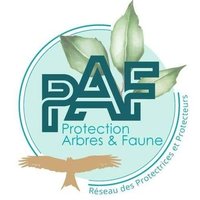 Protection Arbres et Faune - PAF (@protectionarbre) 's Twitter Profile Photo Protection Arbres et Faune - PAF (@protectionarbre) 's Twitter Profile Photo