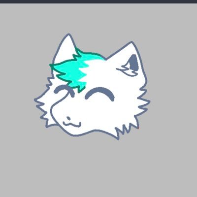 Duncanwolf0's profile picture. I’m a 24 year old gay furry