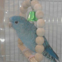 taison883's profile picture. 