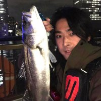 tacos (@takeshik_ana) Twitter profile photo